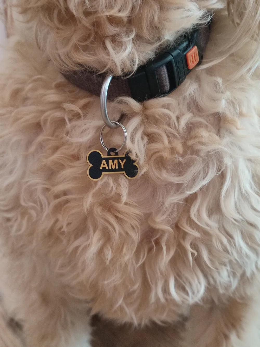 Médaille Personnalisée pour Chien en Forme d'Os